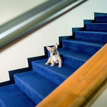 Raumanlinna Hotel Rauma