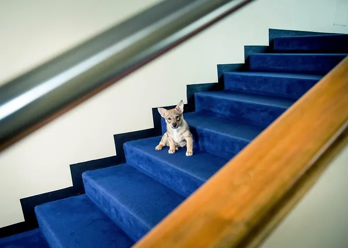 Raumanlinna Hotel Rauma